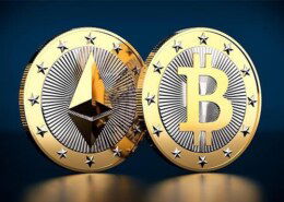 Crypto portfolio allocation in 2026 bull market?